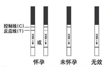昆明早早孕试纸多久能测出来